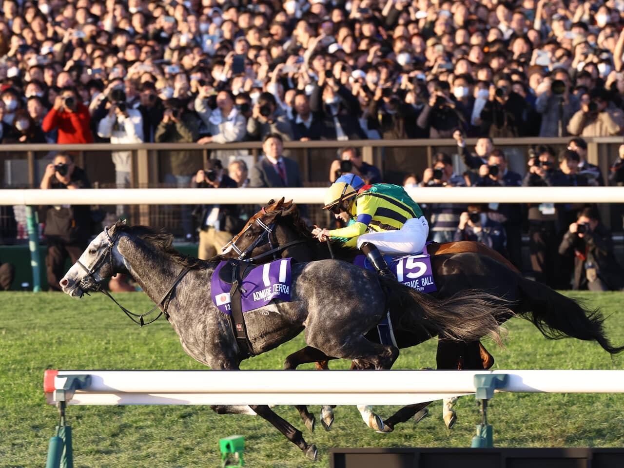 産経ビジュアル,第45回ジャパンカップの様子