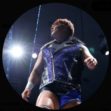 全日本所属レスラー、無免許＆信号無視で交通事故…青柳本人もX更新で謝罪メッセージ