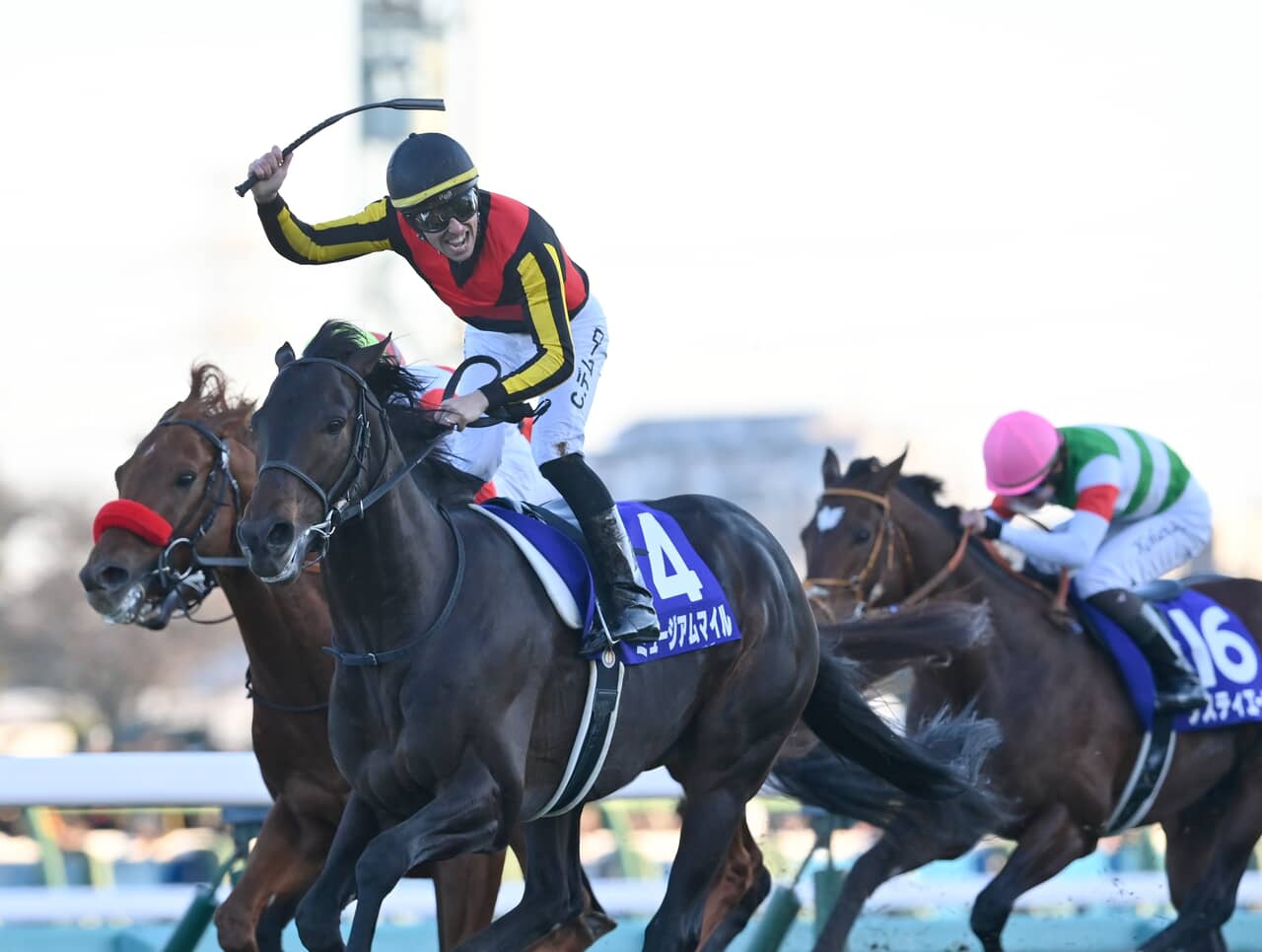 産経ビジュアル,ミュージアムマイル