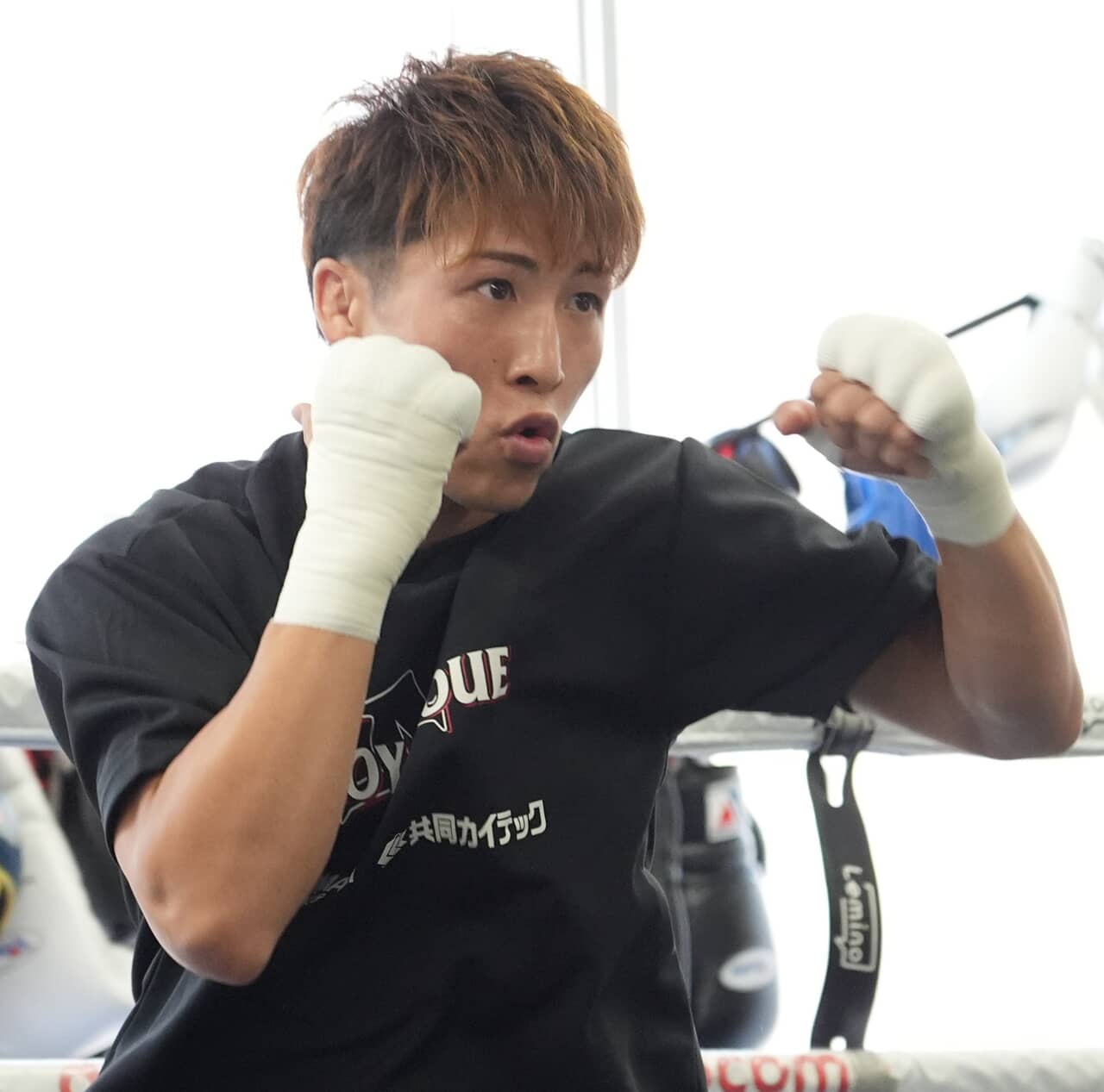 井上尚弥世界戦チケットの不正転売者、大橋ジムに謝罪！法的手続きの開始を受け、自ら申し出