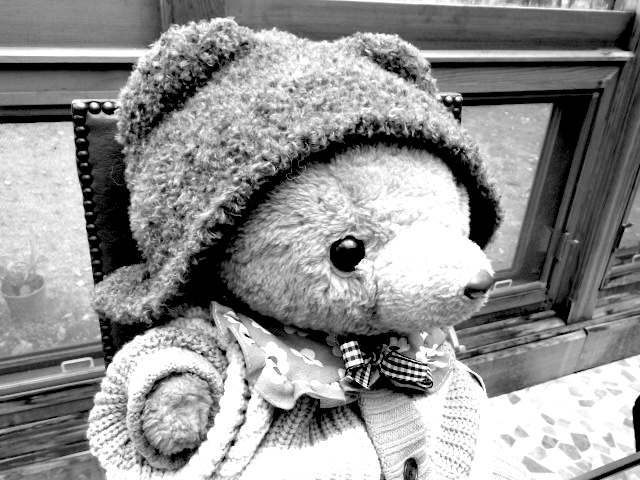 自然と人工の割合について考える【森博嗣】連載「道草の道標」第11回