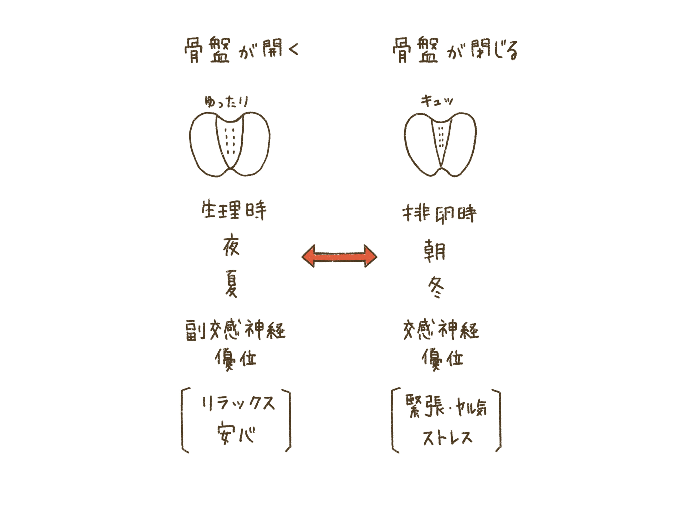 免疫力が高く、お通じも良い私がやっていること